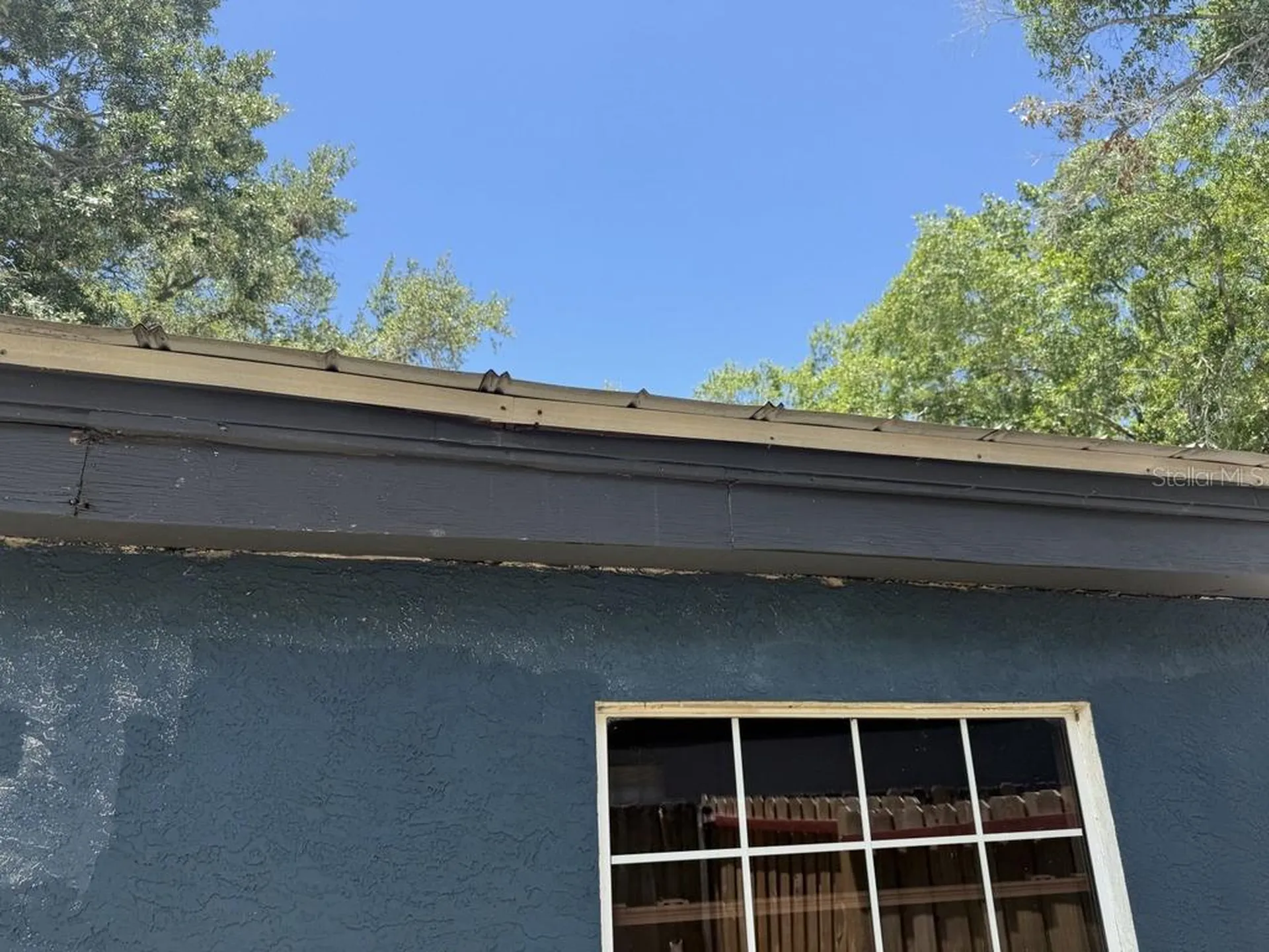 8507 Libby Lane Tampa FL 33619