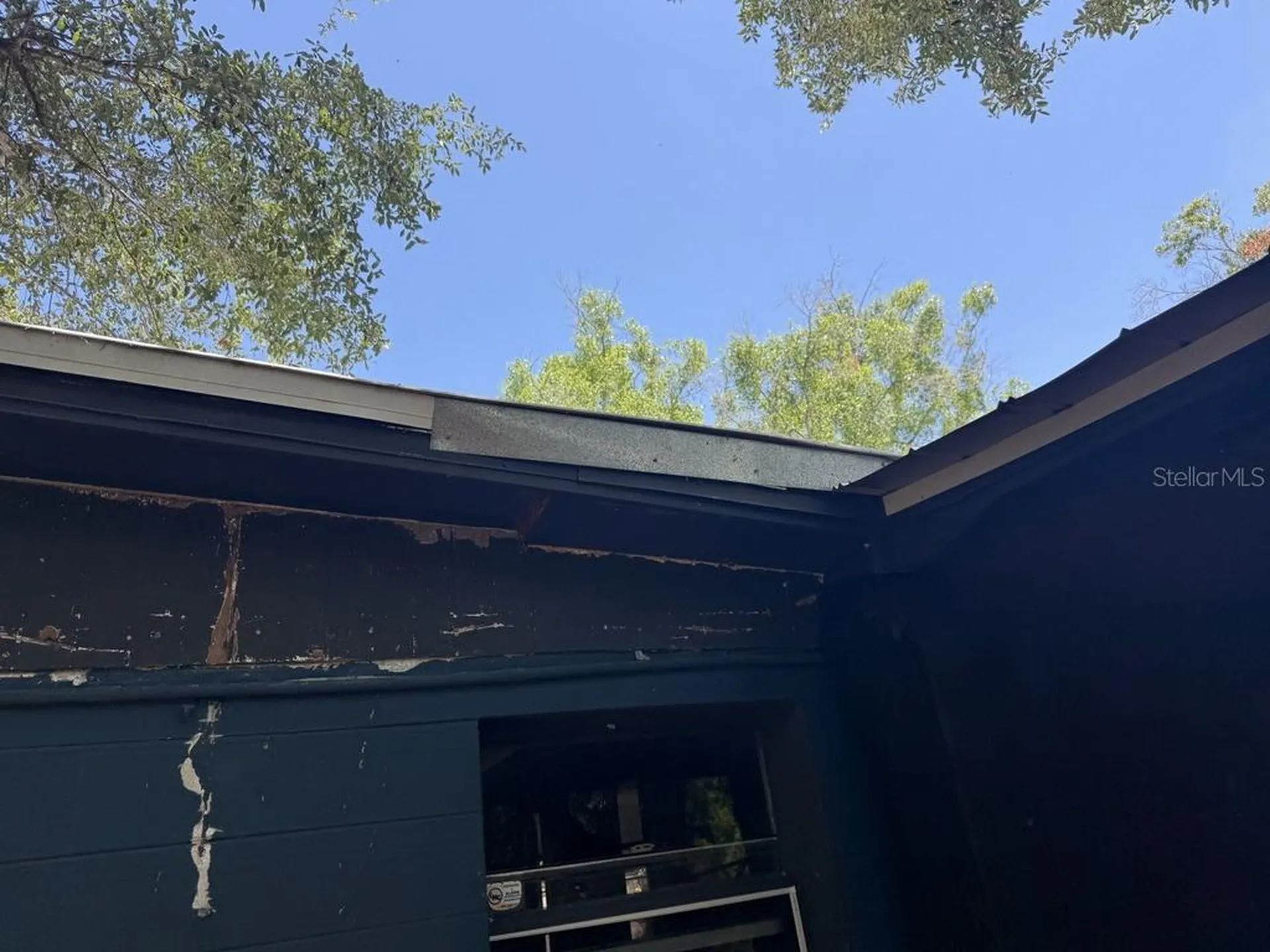 8507 Libby Lane Tampa FL 33619