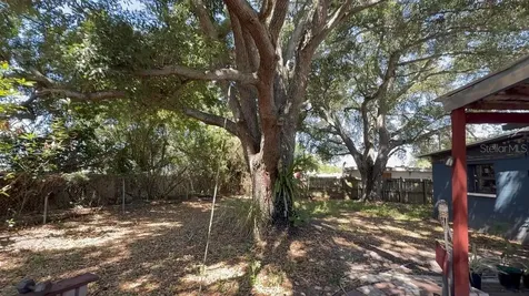 8507 Libby Lane Tampa FL 33619