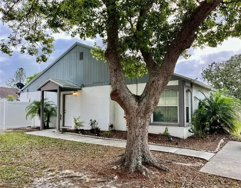 7706 Citrus Field Court Tampa FL 33625