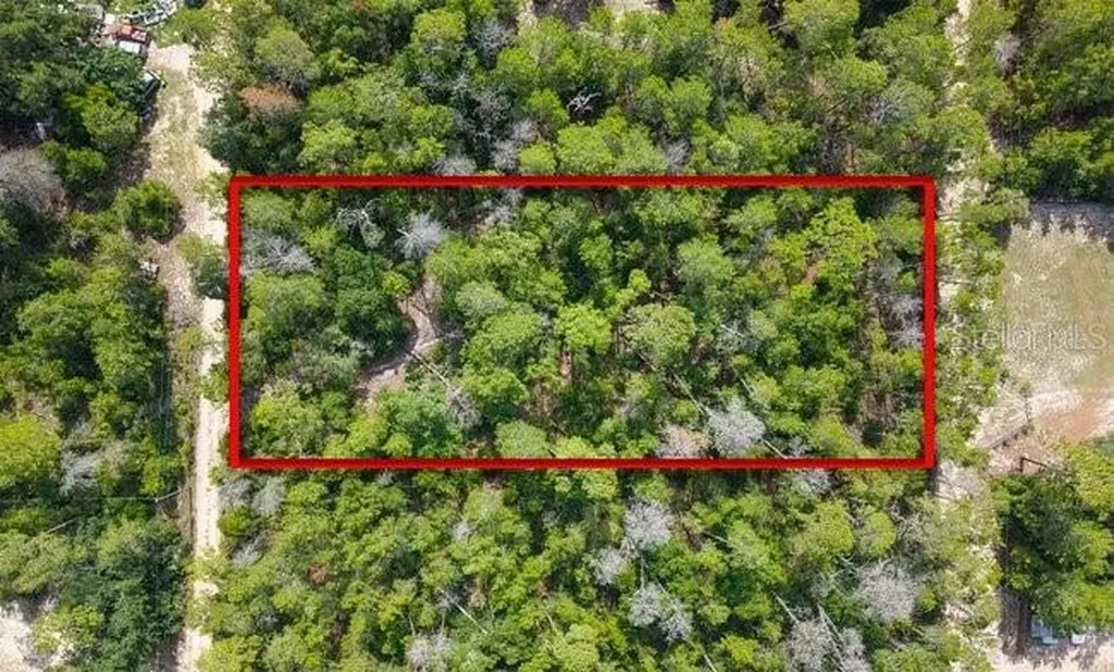 Berry Street Paisley FL 32767