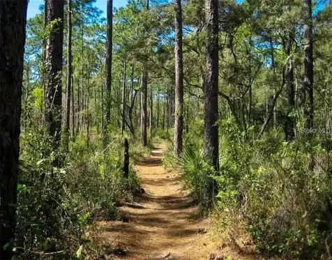 Berry Street Paisley FL 32767