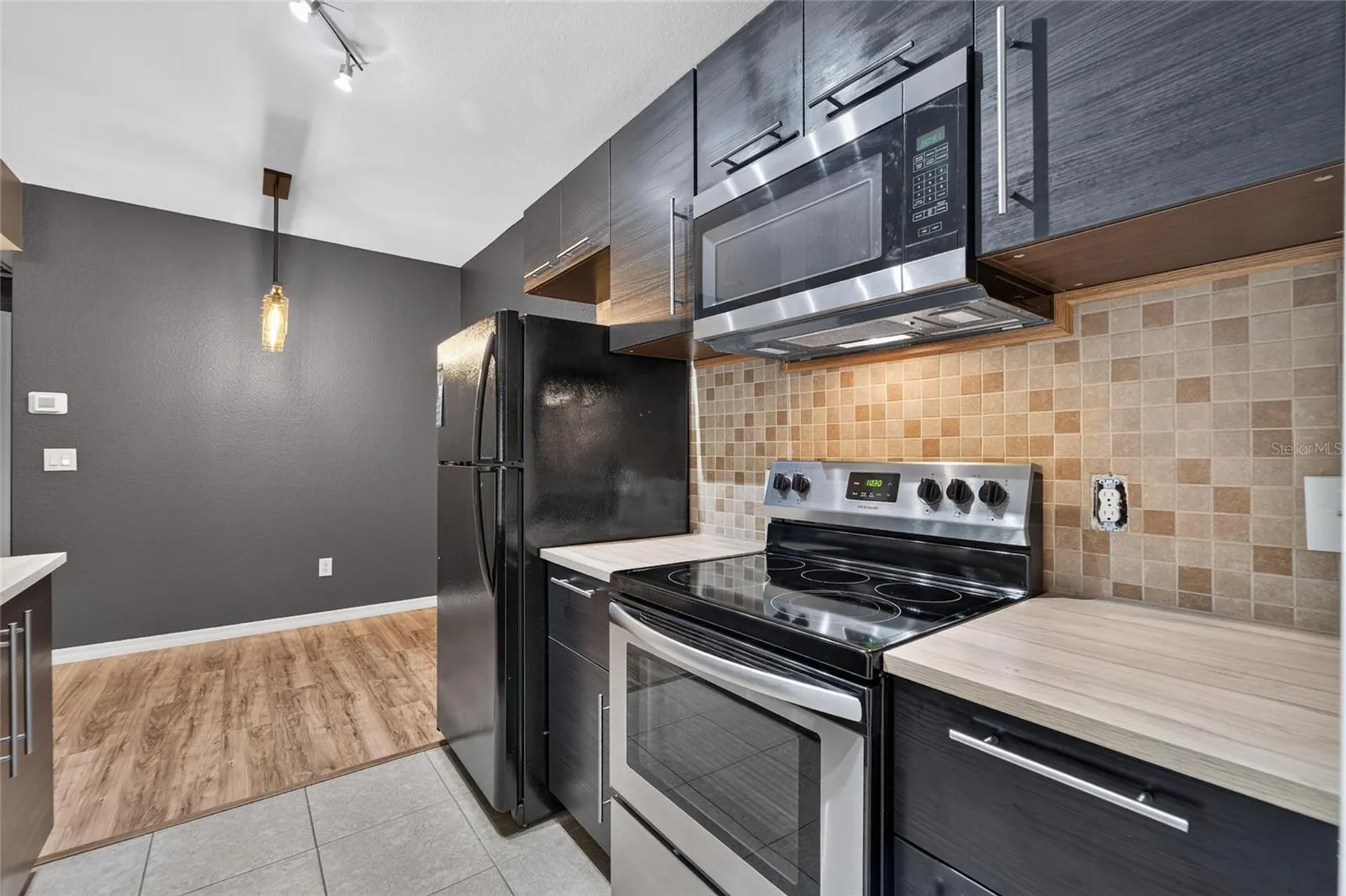 13215 Sanctuary Cove Drive Tampa FL 33637