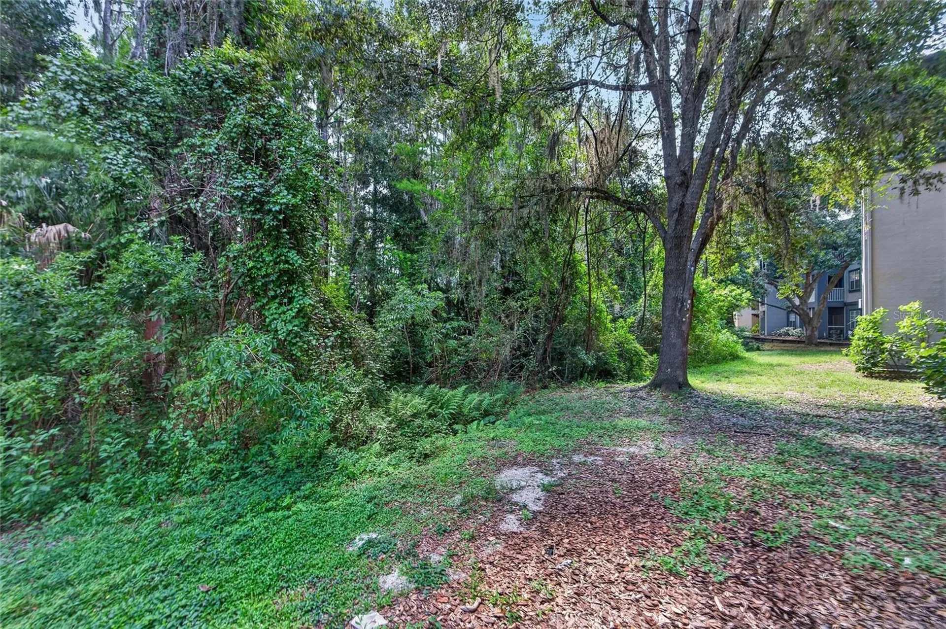 13215 Sanctuary Cove Drive Tampa FL 33637