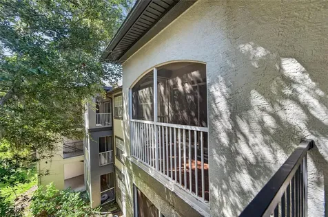 13215 Sanctuary Cove Drive Tampa FL 33637