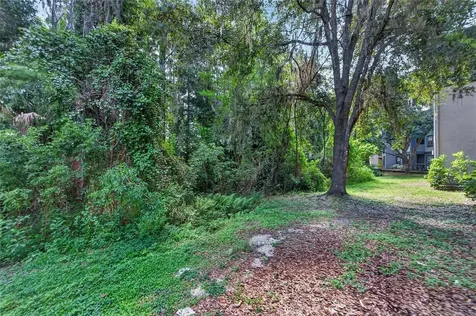 13215 Sanctuary Cove Drive Tampa FL 33637