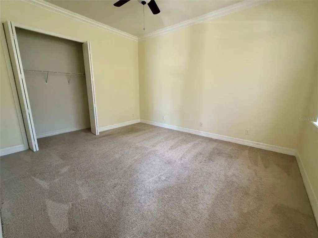 10531 Mistflower Lane Tampa FL 33647