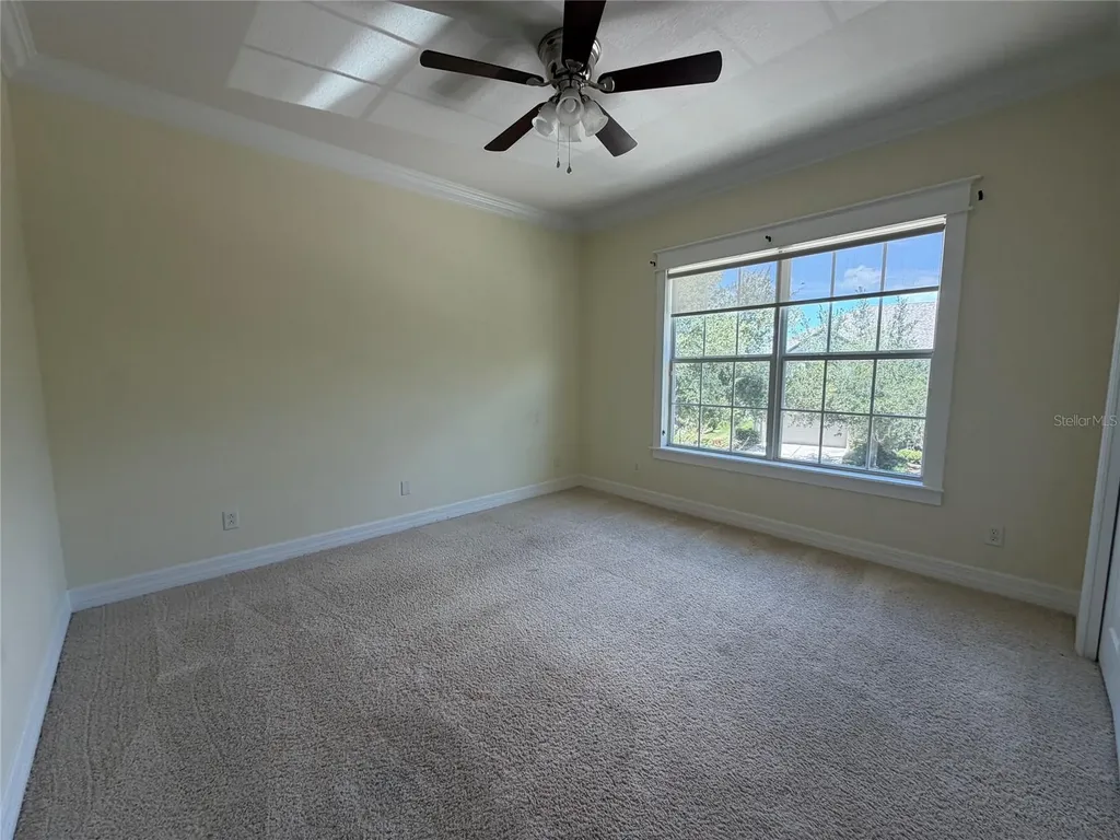 10531 Mistflower Lane Tampa FL 33647