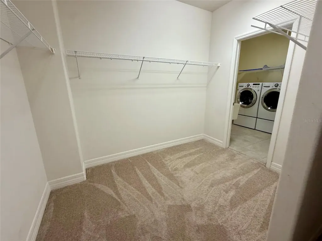 10531 Mistflower Lane Tampa FL 33647