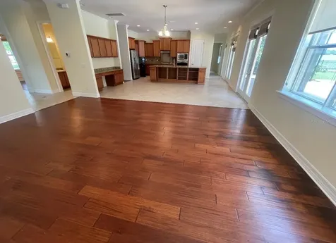 10531 Mistflower Lane Tampa FL 33647