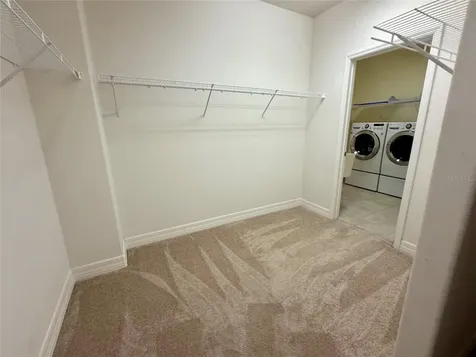 10531 Mistflower Lane Tampa FL 33647