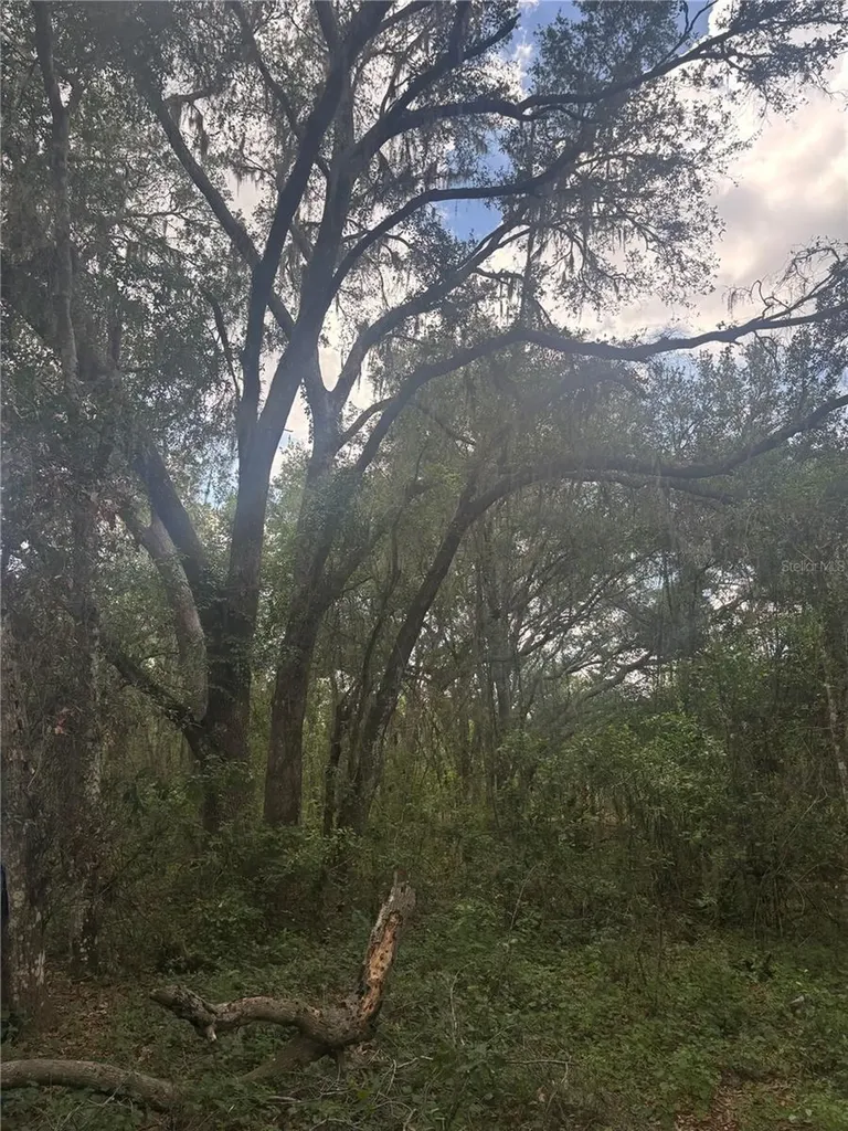Deepwell Drive Brooksville FL 34602