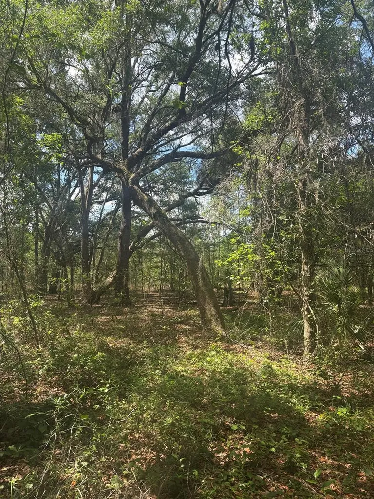 Deepwell Drive Brooksville FL 34602