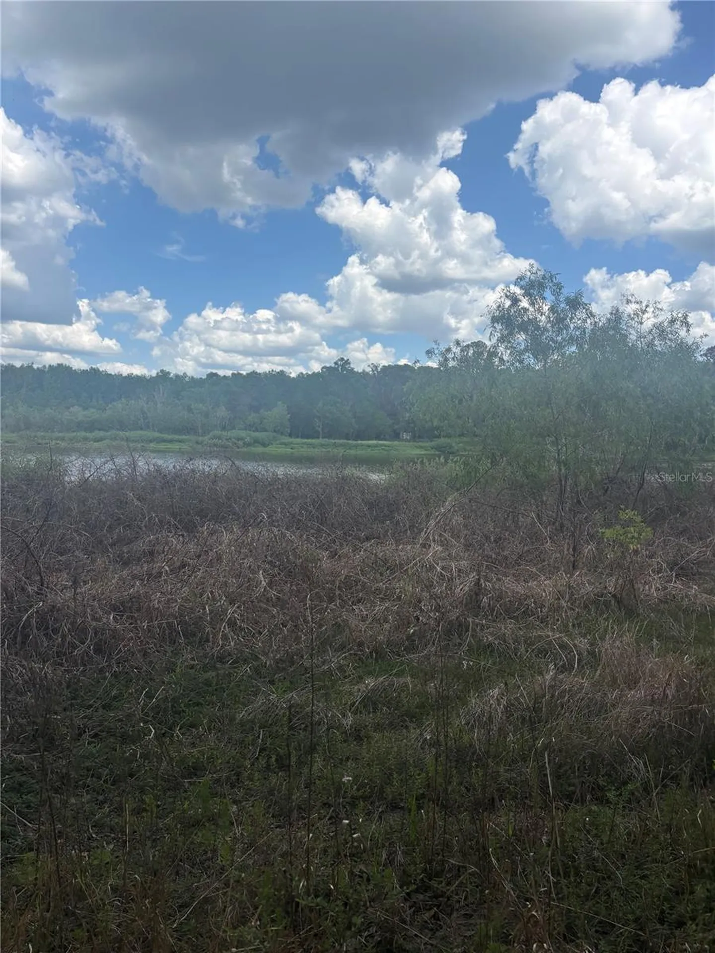 Deepwell Drive Brooksville FL 34602