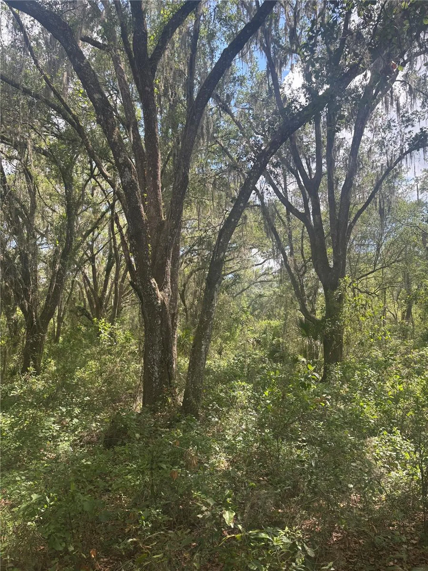 Deepwell Drive Brooksville FL 34602