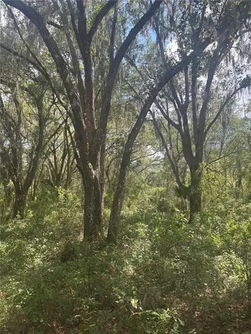 Deepwell Drive Brooksville FL 34602