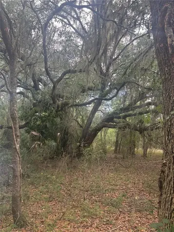 Deepwell Drive Brooksville FL 34602