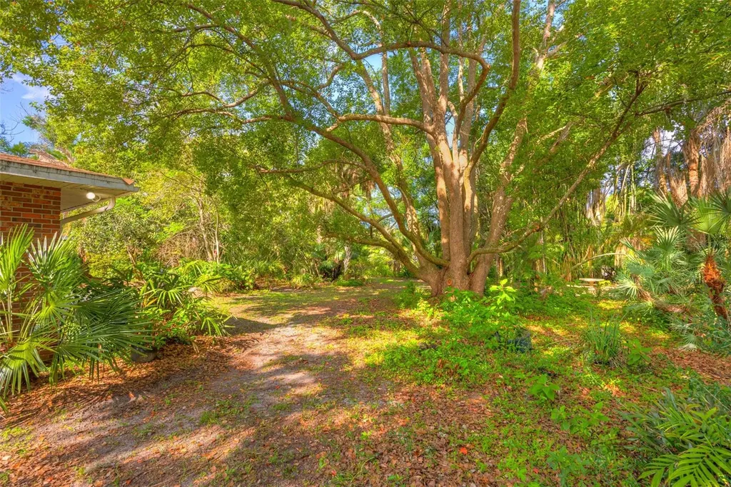 1790 N Clara Avenue Deland FL 32720