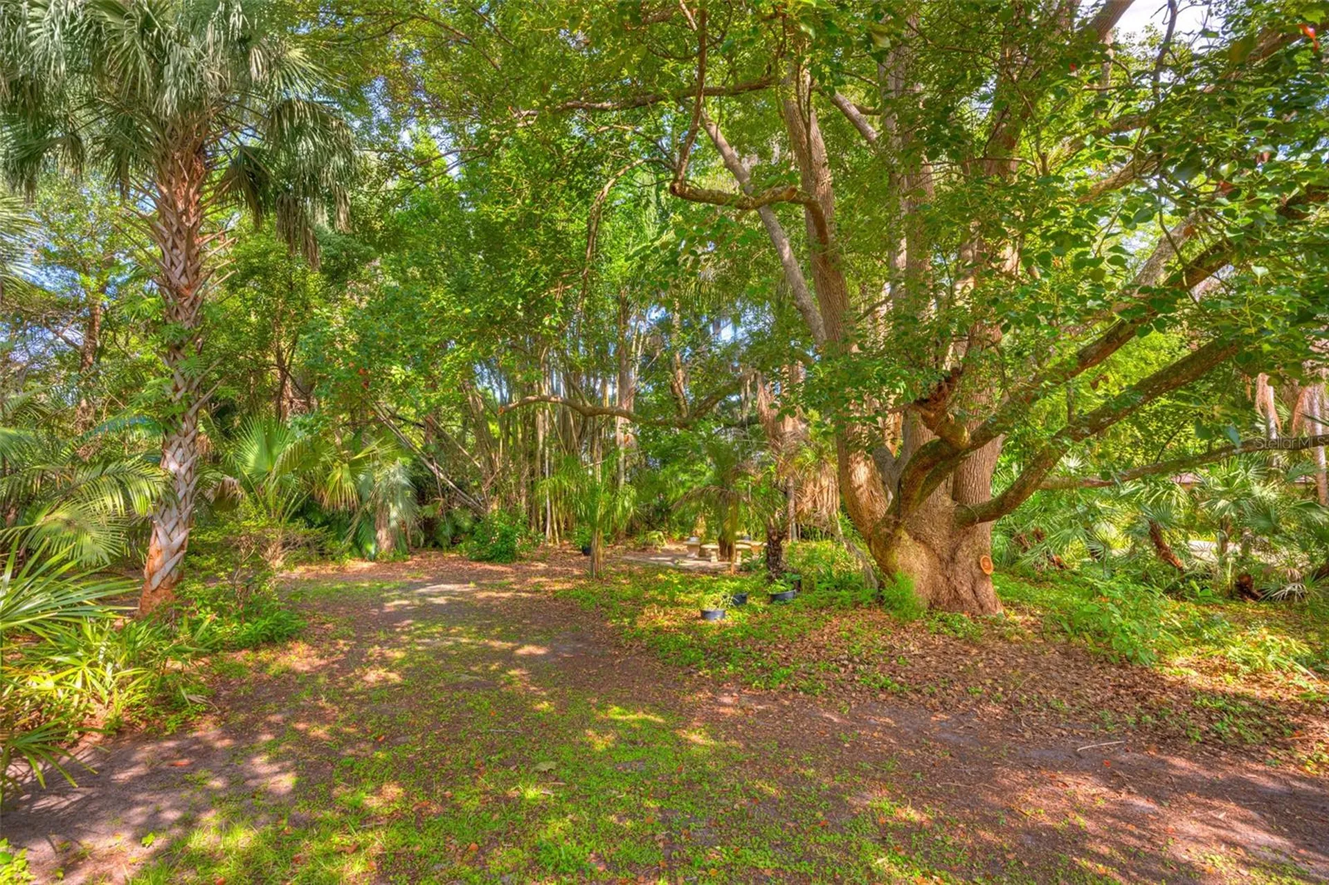 1790 N Clara Avenue Deland FL 32720