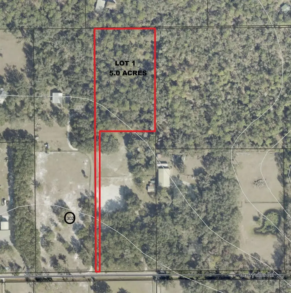 Parcel 1 - 2570 Curryville Road Chuluota FL 32766
