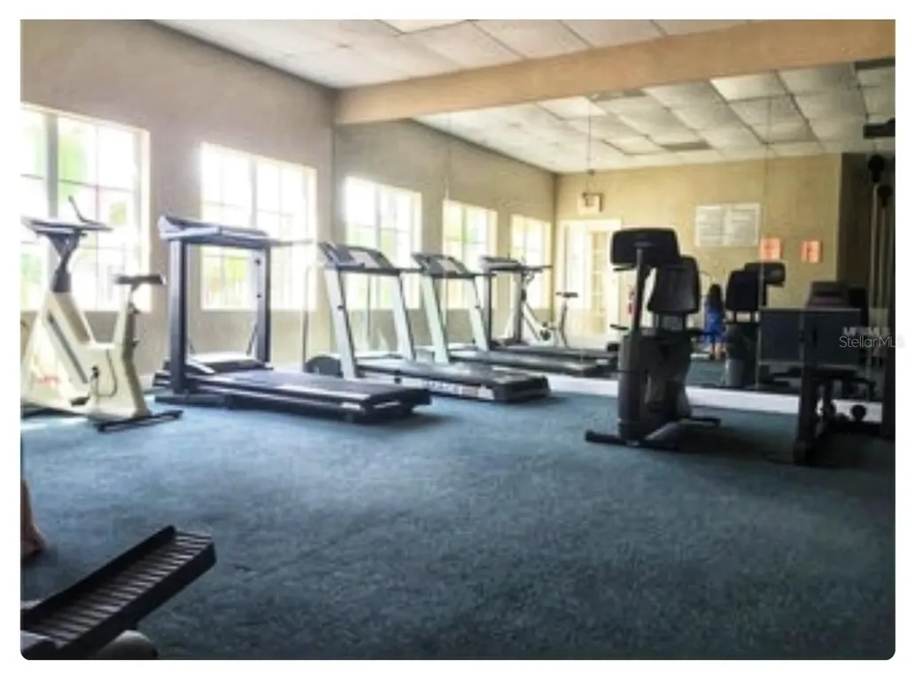 2846 Somerset Park Drive Tampa FL 33613