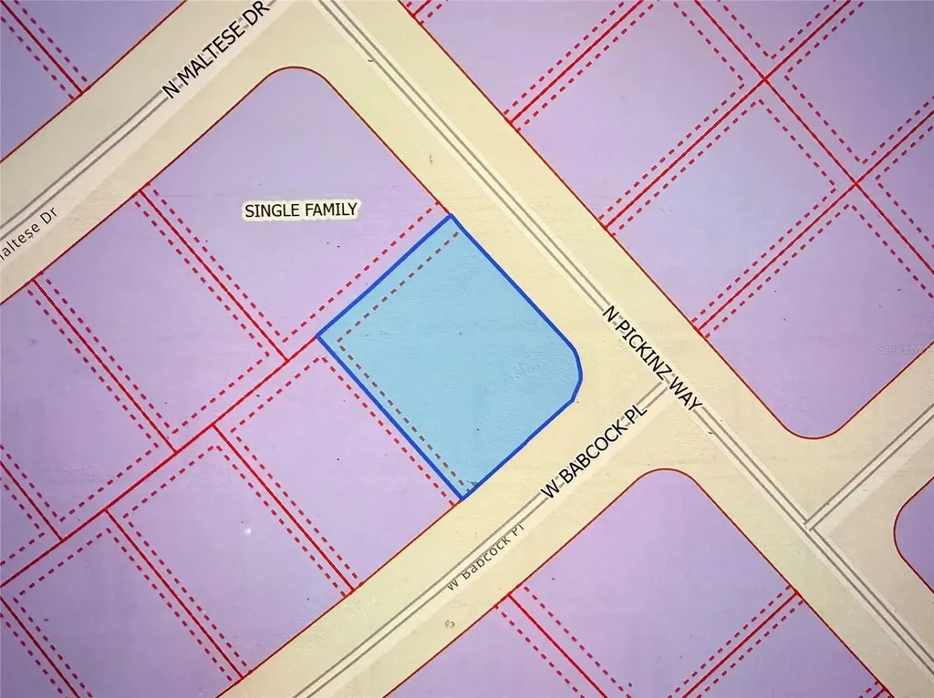 3115 W Babcock Place Citrus Springs FL 34433
