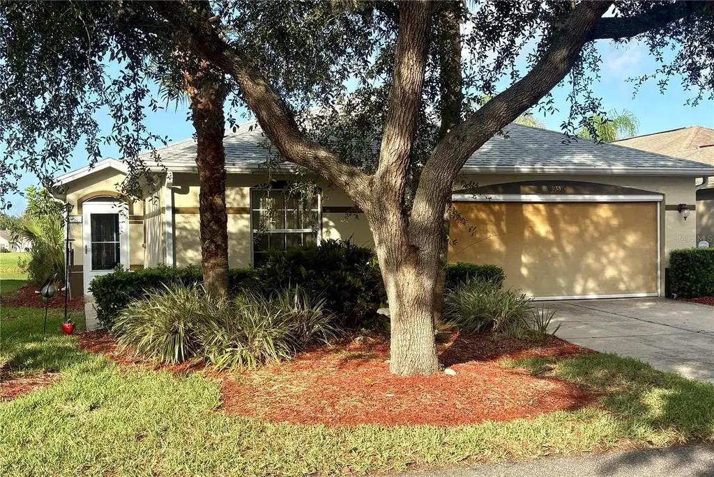 29530 Waggle Drive San Antonio FL 33576