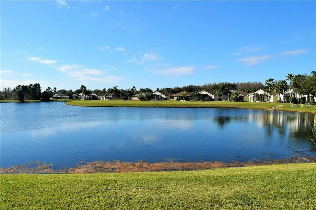 29530 Waggle Drive San Antonio FL 33576