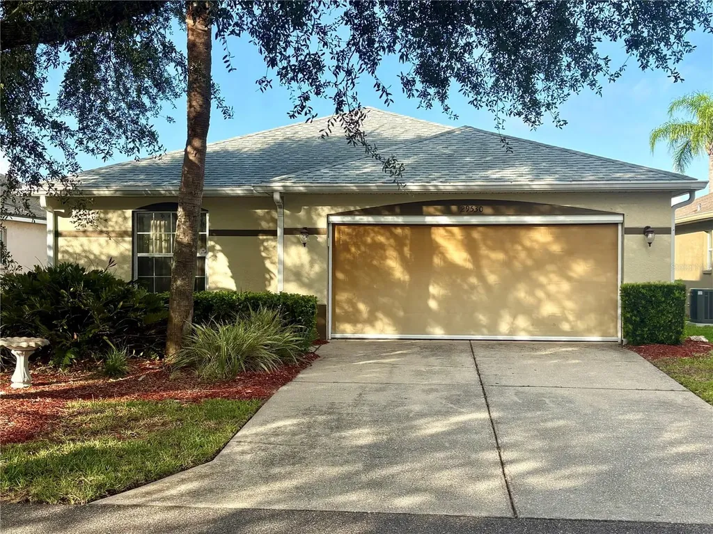 29530 Waggle Drive San Antonio FL 33576