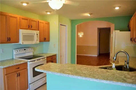 29530 Waggle Drive San Antonio FL 33576