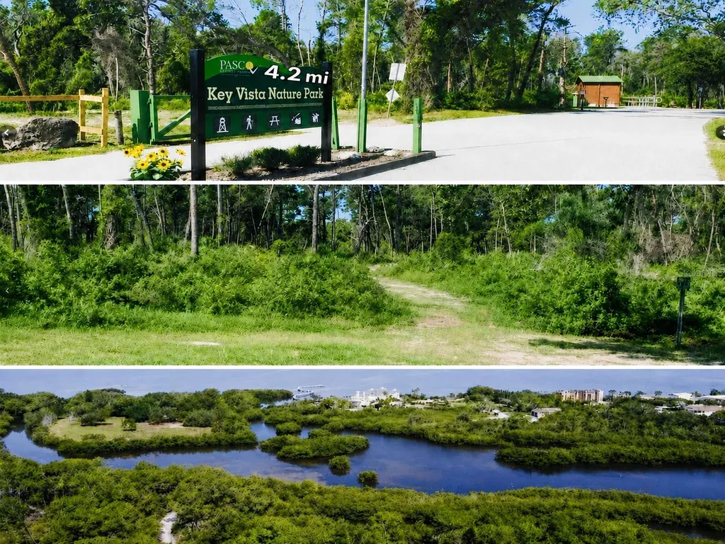 4645 Irene Loop New Port Richey FL 34652