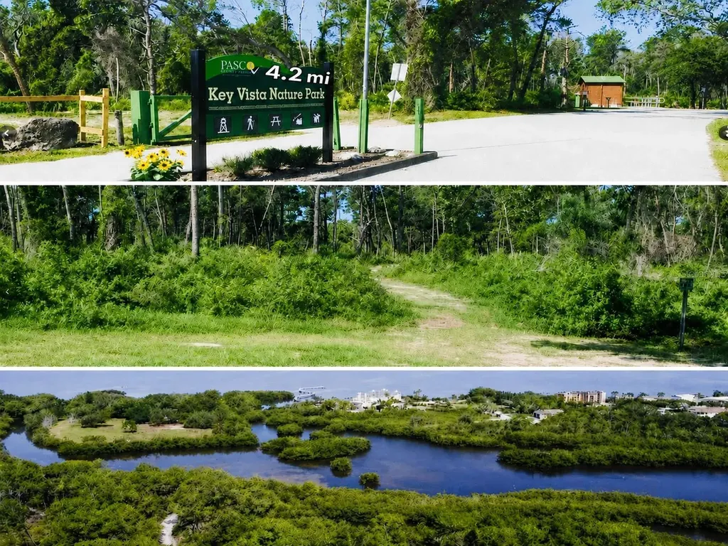 4645 Irene Loop New Port Richey FL 34652