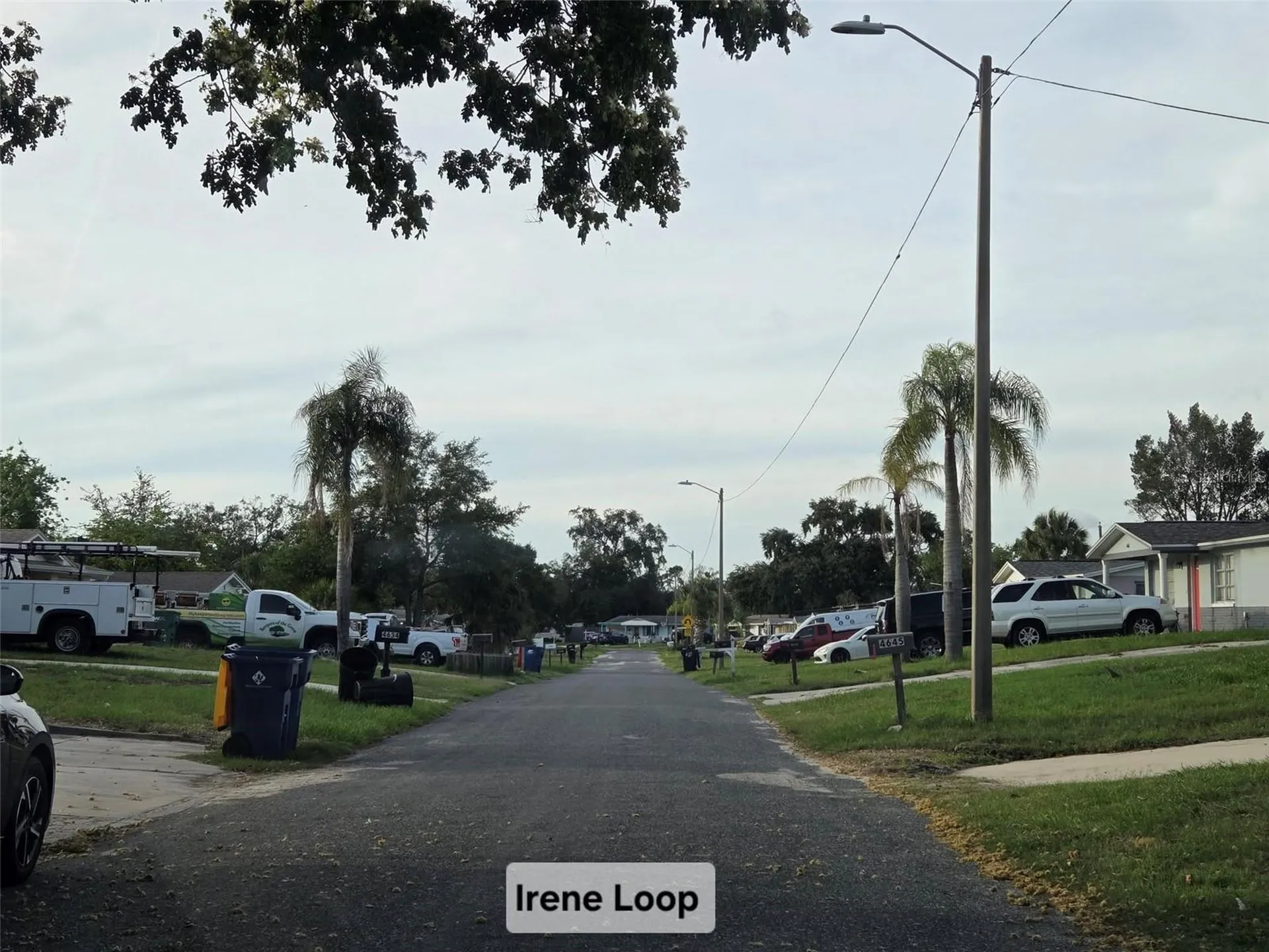 4645 Irene Loop New Port Richey FL 34652
