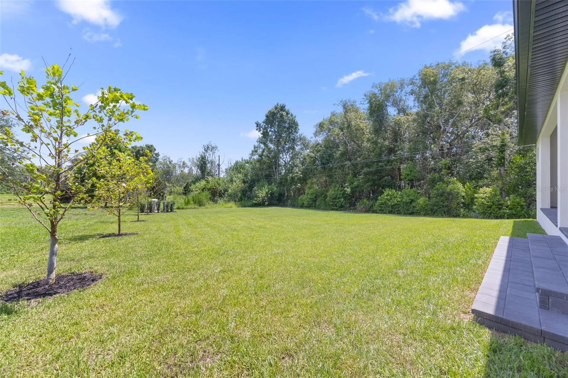 1336 Hays Road Tarpon Springs FL 34689