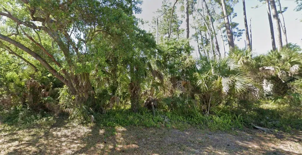 17469 & 17477 Dudley Avenue Port Charlotte FL 33954