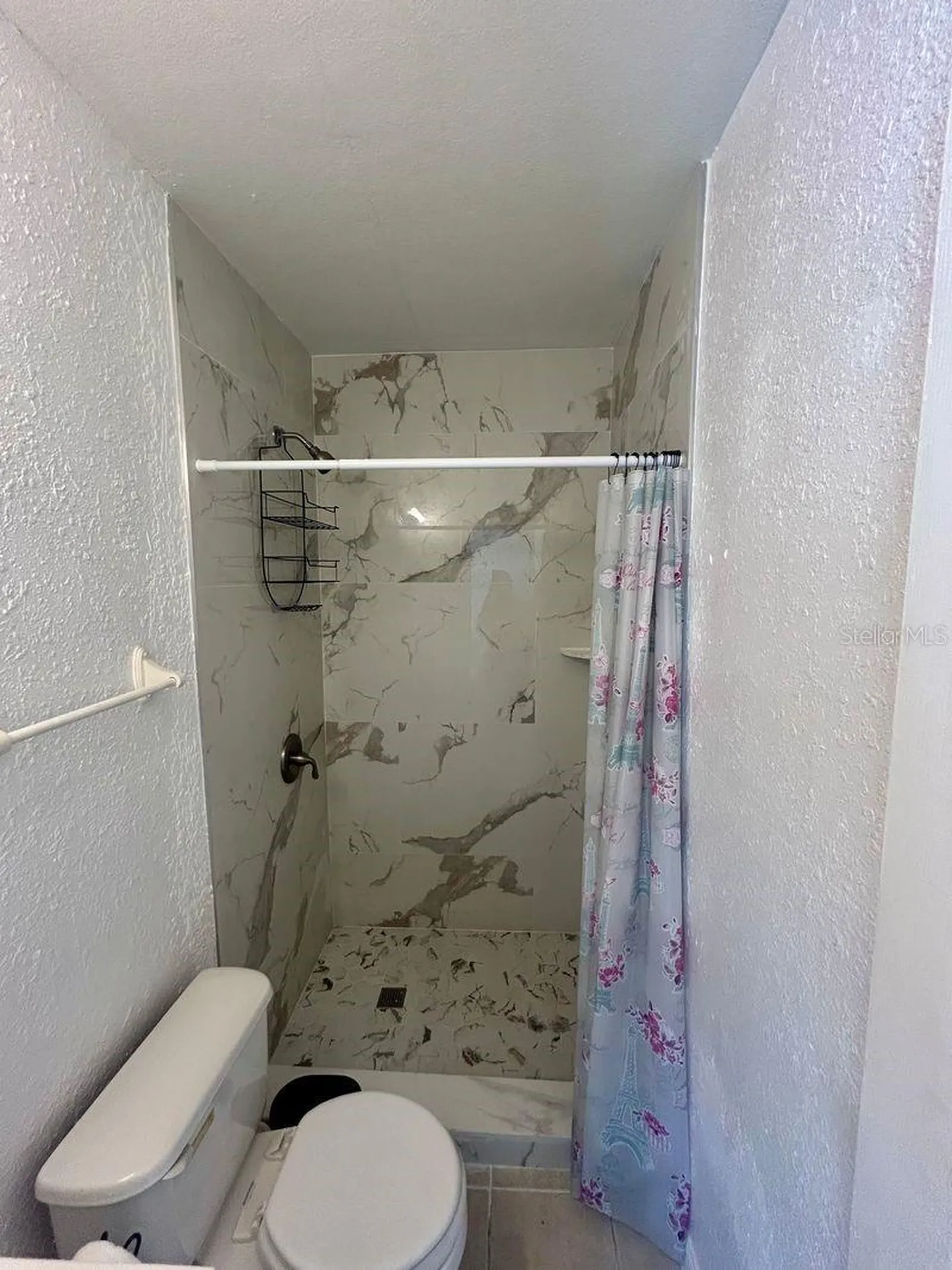 7302 Woodhall Court Tampa FL 33634