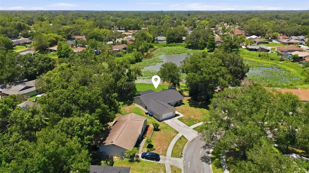 17508 Brandywine Drive Lutz FL 33549