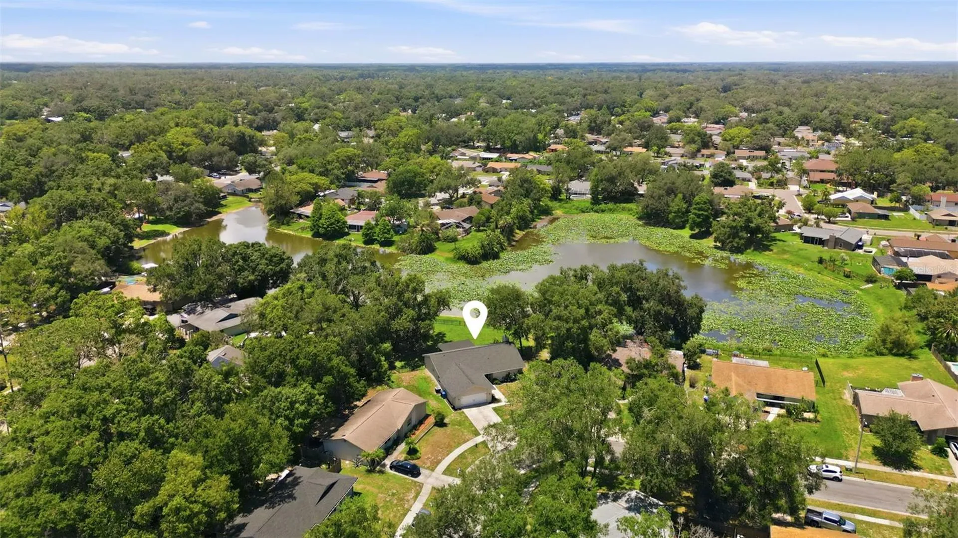 17508 Brandywine Drive Lutz FL 33549