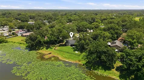 17508 Brandywine Drive Lutz FL 33549