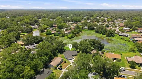 17508 Brandywine Drive Lutz FL 33549