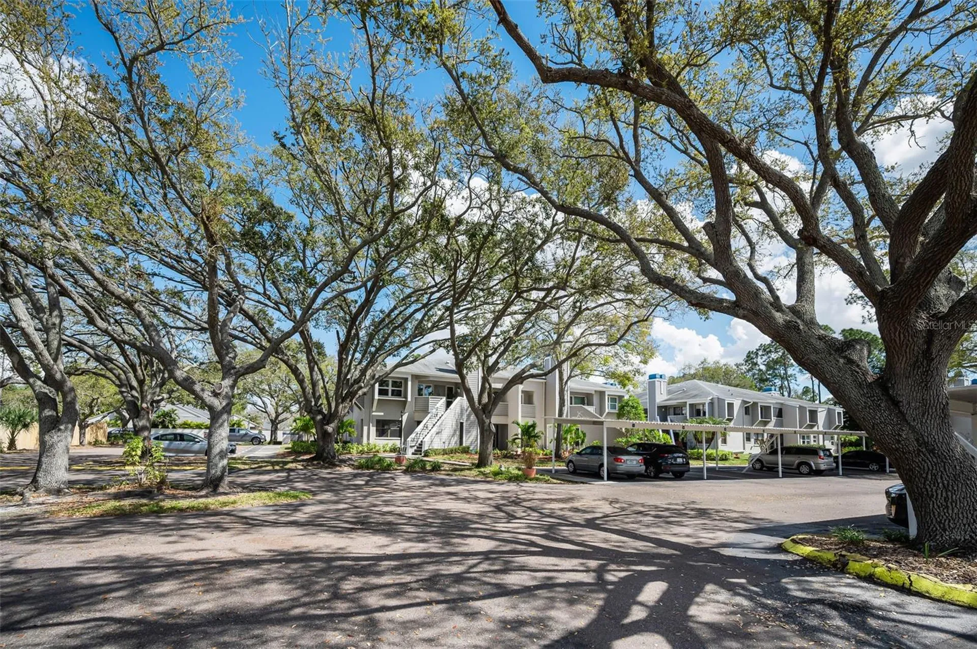 10626 Longwood Drive Seminole FL 33777