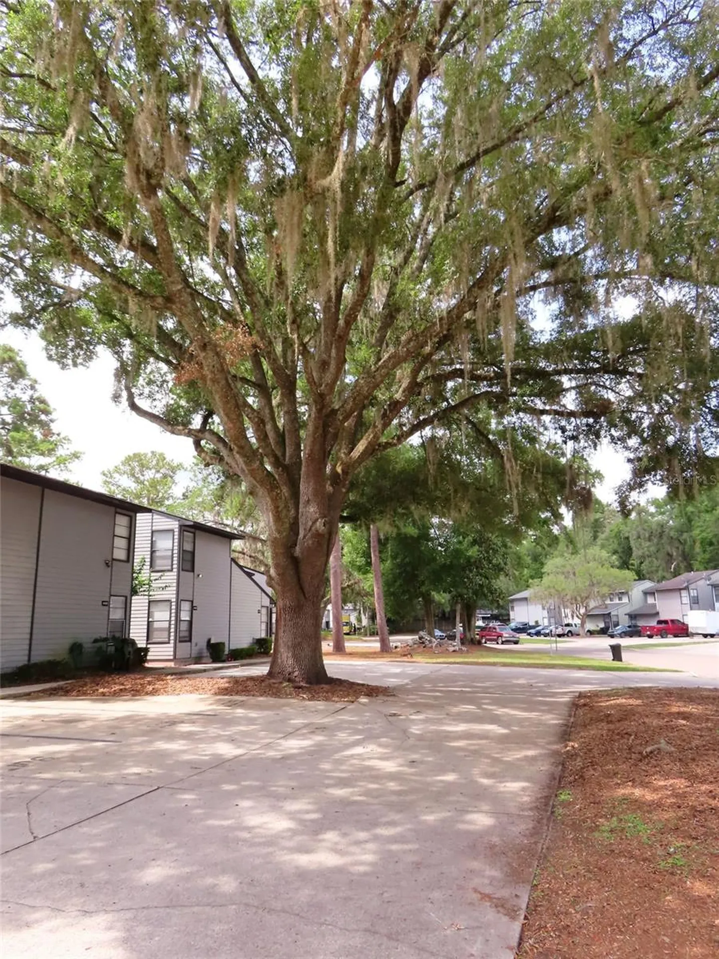 4427 SW 21st Lane Gainesville FL 32607