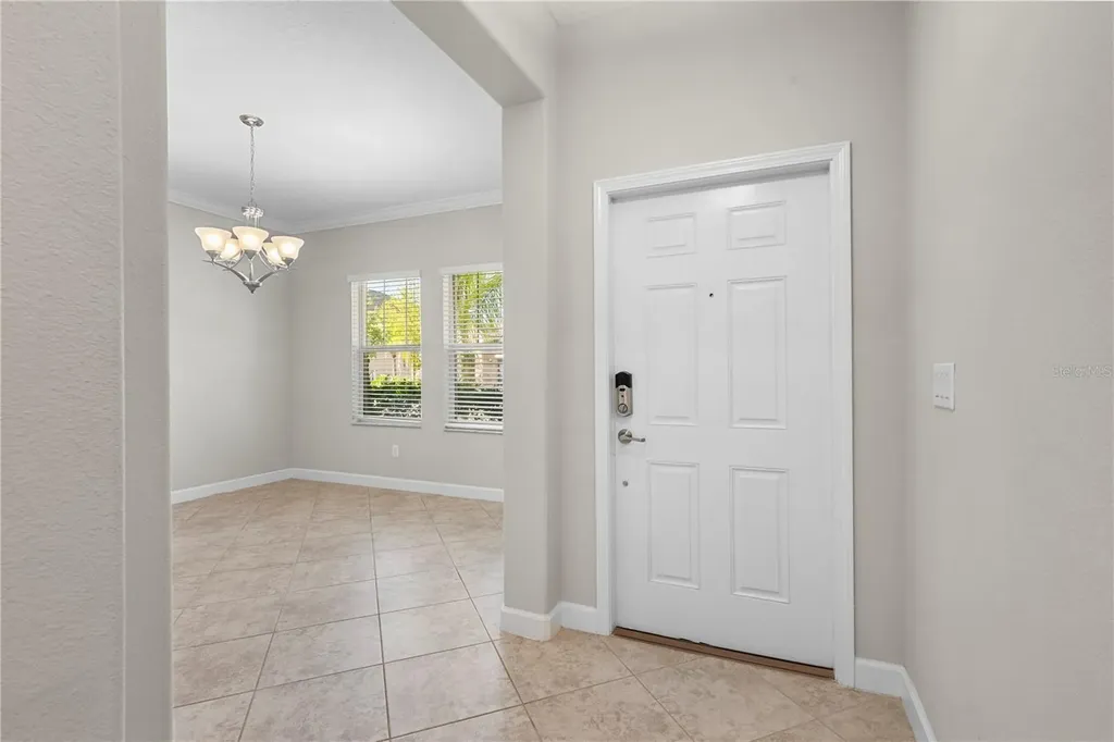 3147 Calvano Drive Land O Lakes FL 34639