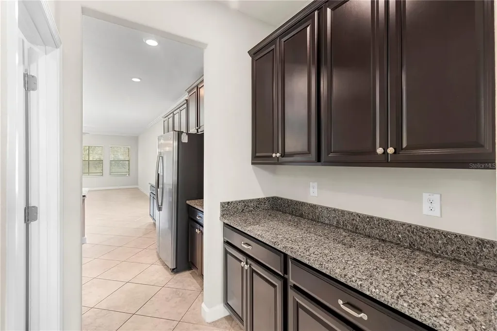 3147 Calvano Drive Land O Lakes FL 34639