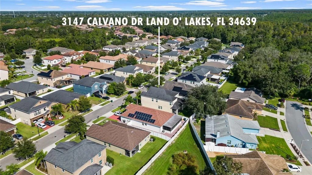 3147 Calvano Drive Land O Lakes FL 34639