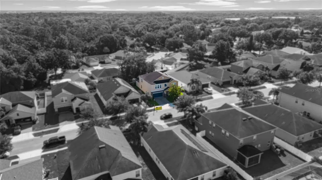 3147 Calvano Drive Land O Lakes FL 34639