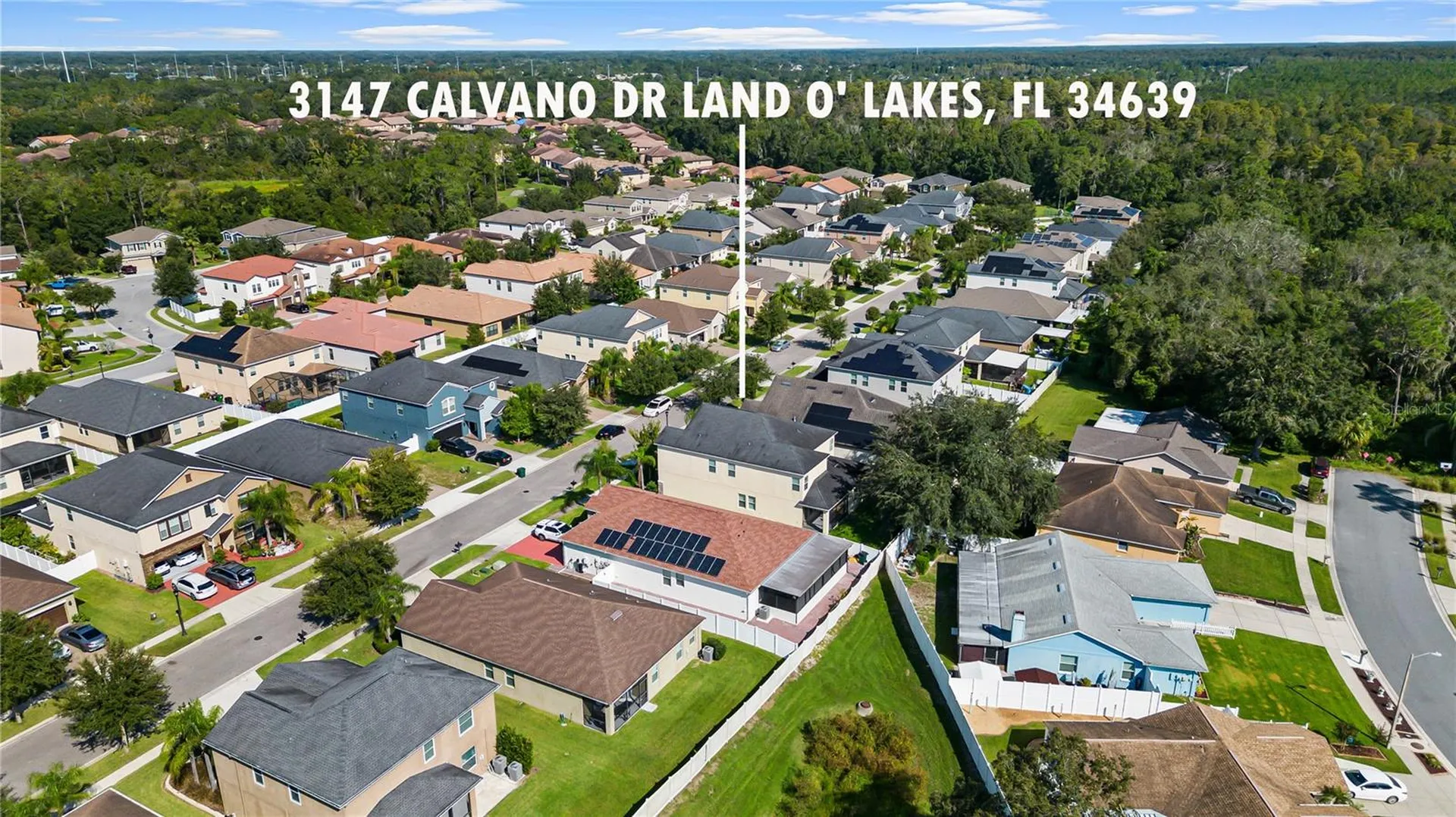 3147 Calvano Drive Land O Lakes FL 34639