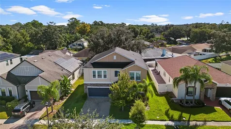 3147 Calvano Drive Land O Lakes FL 34639