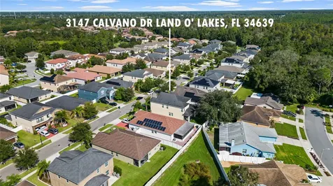 3147 Calvano Drive Land O Lakes FL 34639