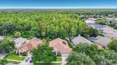 4706 Mirabella Place Lutz FL 33558